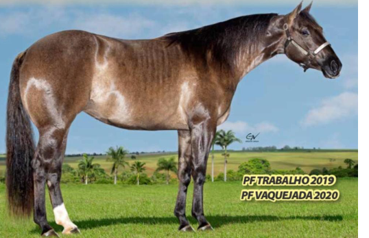 IRISH BOONSMAL